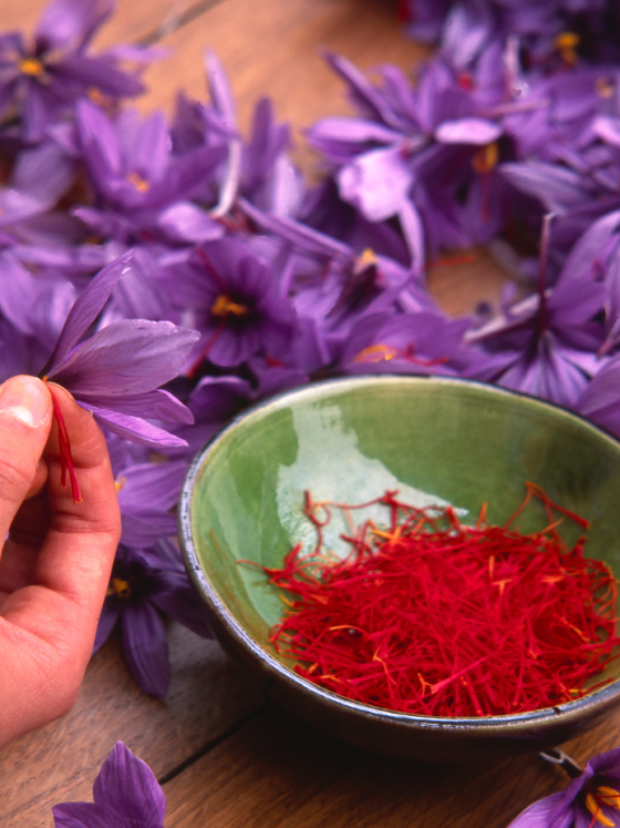 Nurturing Joy: The Healing Power of African Saffron